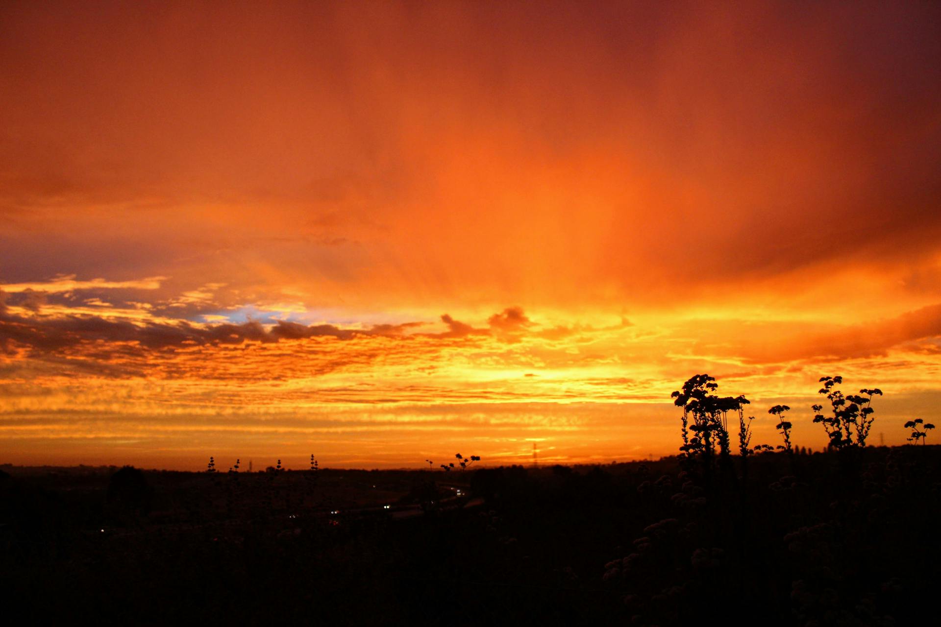 Tools and wood in dark lutherie space